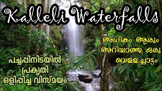 Kalleli waterfallsKonniPathanamthitta [upl. by Oine]