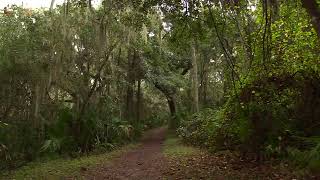 Spanish Pond Trailhead in Jacksonville Florida part 2 [upl. by Shandie]