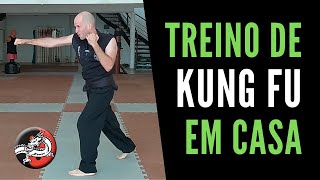 Treino de Kung Fu em Casa  Fortalecimento  Aula 2 [upl. by Aldwon998]