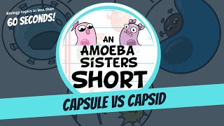 Differences Between a Bacterial Capsule and Viral Capsid  Amoeba Sisters Shorts [upl. by Dannye]