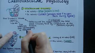 Cardiac Cycle  Cardiovascular Physiology [upl. by Vitus791]