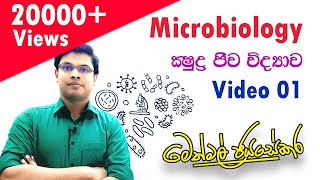 ක්‍ෂුද්‍රජීව විද්‍යාව  Microbiology  Video 01  AL Biology [upl. by Xavler]