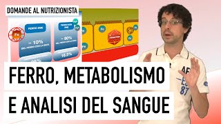 Ferro metabolismo e analisi del sangue [upl. by Ainslee232]