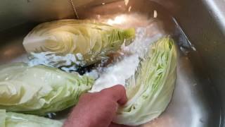 Freezing cabbage the easy method [upl. by Leahpar]