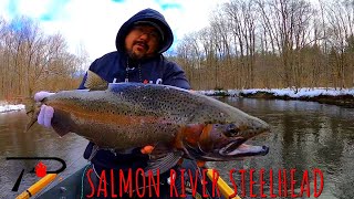 Salmon River Steelhead Fishing [upl. by Giah744]