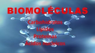 BIOMOLÉCULAS Carbohidratos lípidos proteínas y ácidos nucleicos [upl. by Radke]