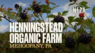 Henningstead Organic Farm [upl. by Harragan]