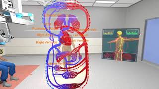 The Heart and Circulatory System [upl. by Joiner]