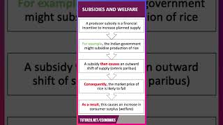 How to Analyse Subsidies amp Consumer Welfare  60 Second Economics  ALevel amp IB [upl. by Dragon]