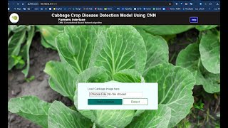 Cabbage Disease Detection Model Inception V3 detect hidden diseases in cabbage [upl. by Kory]