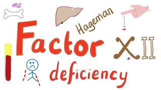 Factor XII Deficiency  Hageman Trait [upl. by Fenny346]