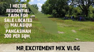 V70 1 hectare Residential farm lot for sale mrexcitementmixvlog [upl. by Stokes415]