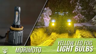 TRS Tech Tip  Why You Should Consider Yellow Fog Lights [upl. by Eilsel]