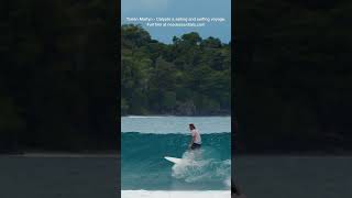 Calypte YouTube SHORT surf surfers ocean waves surfing travel beach [upl. by Nwahsak]