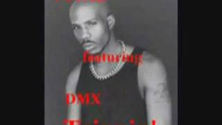 Total feat DMX  Trippin RMX [upl. by Macur]