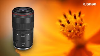 The Canon RF 100mm F28 L Macro IS USM  Handson Review [upl. by Steiner]