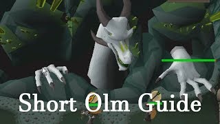 OSRS  Short guide on The Great Olm [upl. by Kelbee]