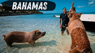 BEST THINGS To Do In EXUMA Bahamas [upl. by Eshelman460]