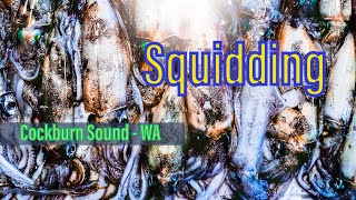 Squidding  Cockburn Sound WA [upl. by Imat]