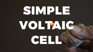 Simple Voltaic Pile [upl. by Aubarta]