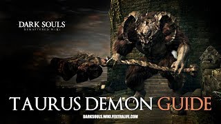 Taurus Demon Boss Guide Dark Souls Remastered [upl. by Harsho733]