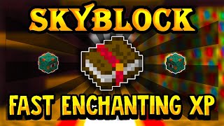 The FASTEST Way To Get Enchanting XP in Hypixel Skyblock [upl. by Leatrice712]