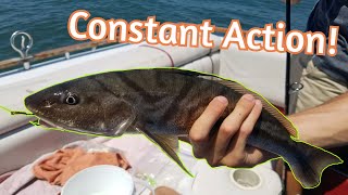 Multispecies Fishing NEW HAVEN HARBOR Connecticut Stripers Scup Sea Bass etc [upl. by Adama]