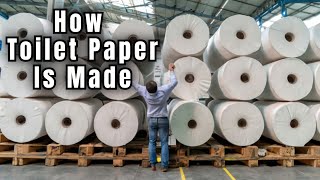 THIS is HOW TOILET PAPER is MADE [upl. by Monty]