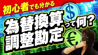 【決算書を深く読みたい人向け】初心者でもわかる為替換算調整勘定って何？ [upl. by Adien363]