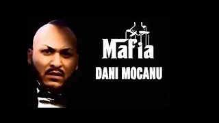 DANI MOCANU  MAINILE SUS  Official Audio [upl. by Nosidda]