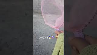 I WANT TO BE A GNOME🧙‍♂️ gnomesvsknights knights gnomes video viral shortsancientwar memewar [upl. by Oika]