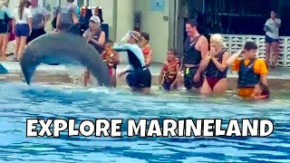 Swim with Dolphins at Marineland Florida [upl. by Herzig464]