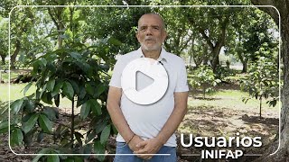 Siembra y fertilización para producción de mangostán [upl. by Sarat]