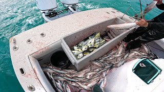 16 Hour Day Commercial Fishing for Mackerel amp Pompano [upl. by Ecitnirp]