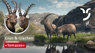 SteinbockSpot „Tomasee“ mit Gian und Giachen [upl. by Lenej]