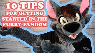 10 Tips For Getting Started In the Furry Fandom [upl. by Attenweiler936]