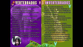 VERTEBRADOS VS INVERTEBRADOS [upl. by Nomal]