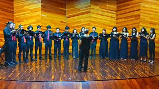 AL SON DE LA MARIMBA  CORO DE CÁMARA VOCES UNIVERSITARIAS DE LA FACULTAD DE MÚSICA DE LA UNICACH [upl. by Lehcnom]