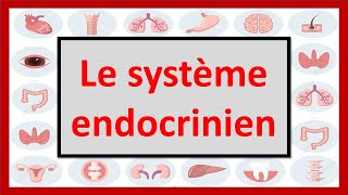 🔴ENDOCRINOLOGIE  LE SYSTÈME ENDOCRINIEN EN 06 MINUTES [upl. by Negyam]