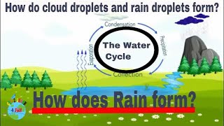 How does Rain form The Water Cycle  How is rain formed [upl. by Keel]