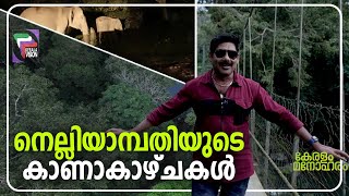 നെല്ലിയാമ്പതിയുടെ കാണാകാഴ്ചകൾ II KERALAM MANOHARAM II Episode 04 [upl. by Adni]