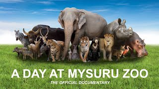 A Day at Mysuru Zoo  official documentary HD [upl. by Ahseikan]