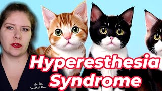 Vet Advice on Identifying and Treating Feline Hyperesthesia Syndrome [upl. by Joice]