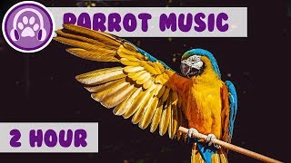 Parrot Music  Music to Relax Your Parrot FAST [upl. by Marinelli]