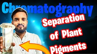 Separation Of Plant Pigments by paper chromatography  12th Biology practical a2zpractical991 [upl. by Brelje798]