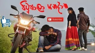 Pitupala Yana Daka Udaya Nadeeshan 2018 New Song [upl. by Schonfield]