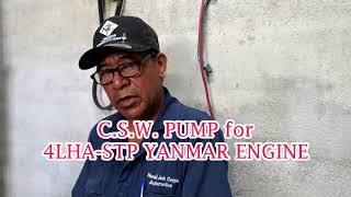 4LHASTP YANMAR CSW PUMP OVER HAULReplace impeller [upl. by Campos]