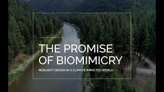 quotThe Promise of Biomimicryquot  Innovation and Design Inspired by Nature [upl. by Kantor]