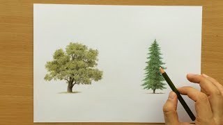 How to Draw Trees With Colored Pencils  Drawing Tutorial [upl. by Meuse]