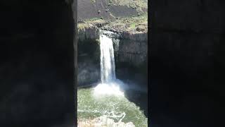 Natures Symphony Waterfall in a Dense Forest relaxingmusic nature music waterfallambiance [upl. by Syck]